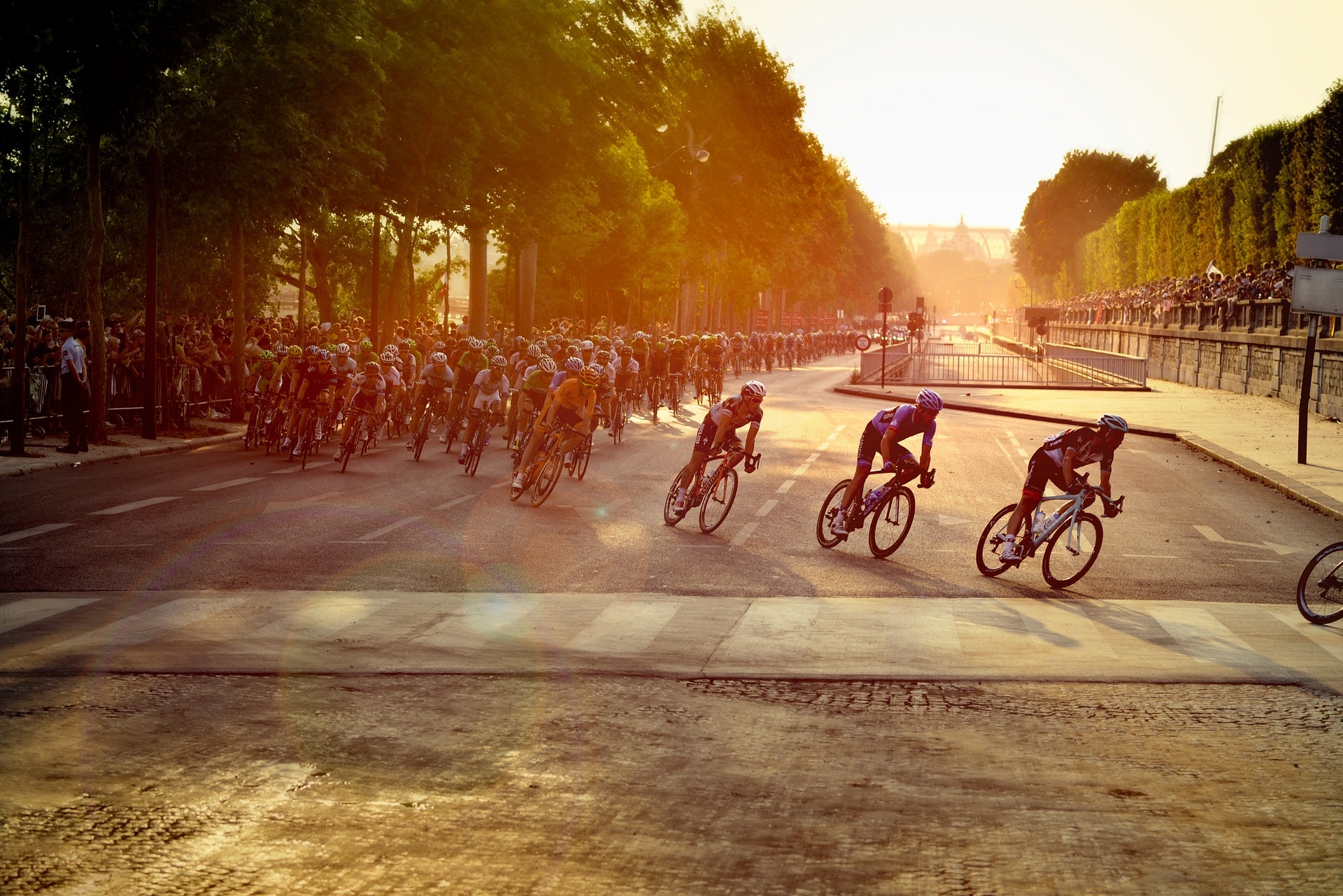 5 sjove facts om Tour de France☀️